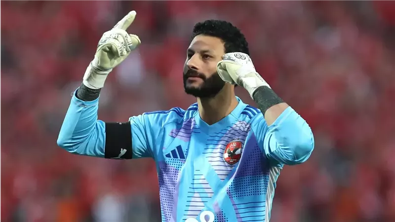محمد الشناوي
