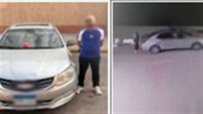 القبض على شخص وضع طعام مسمم للكلاب الضالة في حدائق الأهرام