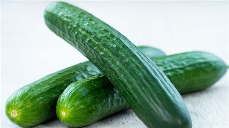 رؤية الخيار في المنام 