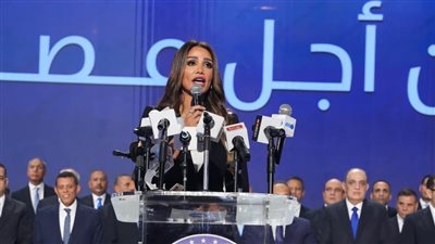 إنجي نصيف تكشف ملامح خطتها داخل لجنة الشئون الخارجية بالشيوخ 
