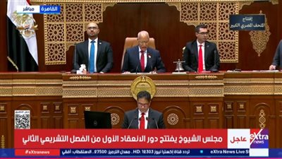 بعد الجلسة الافتتاحية.. استعدادات لتشكيل اللجان النوعية بمجلس الشيوخ (فيديو)