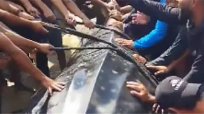 سمكة على شاطئ خان يونس 