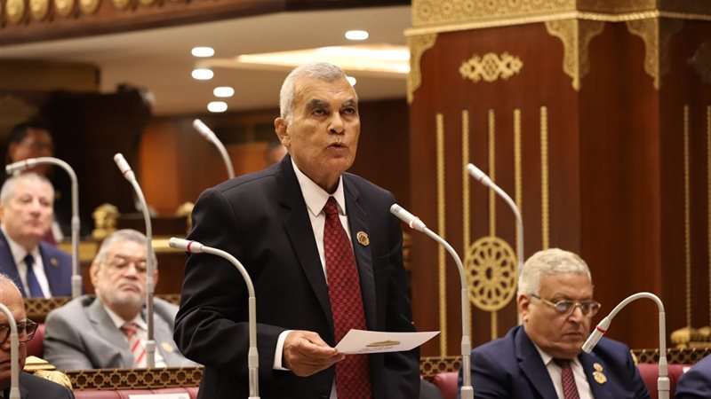 المستشار عصام فريد الديب