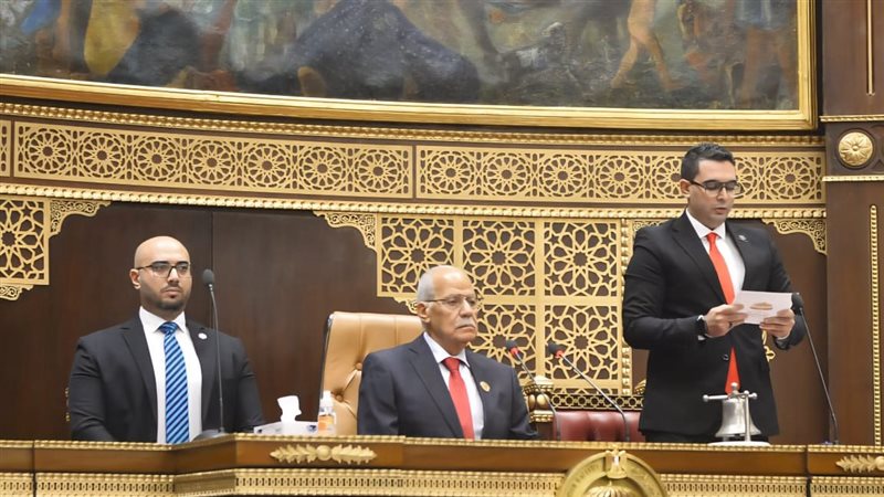 مجلس الشيوخ