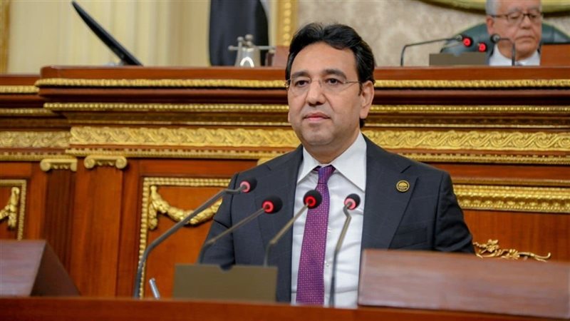 النائب أيمن محسب 