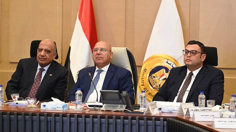 المجموعة الوزارية للتنمية الصناعية