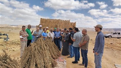 «بحوث الصحراء» ينظم زيارات ميدانية للتجمعات الزراعية في سيناء