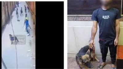 القبض على شخص ظهر في فيديو يحمل سلاحًا أبيض بالجيزة