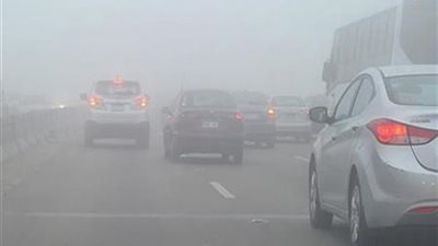 إغلاق محور أبو ذكري والطريق الصحراوي بالإسكندرية بسبب شبورة كثيفة