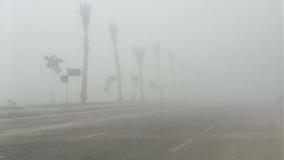 الأرصاد تحذر من شبورة مائية كثيفة وارتفاع في درجات الحرارة غدًا الجمعة