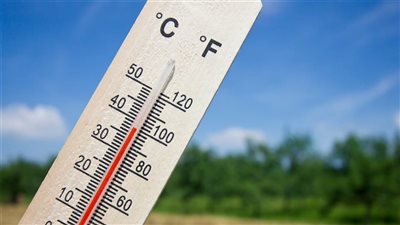 أجواء مائلة للبرودة وشبورة صباحية.. الأرصاد تكشف حالة الطقس غدًا