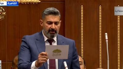 بعد جدل تصريحات ياسر جلال.. باحث تاريخي يؤكد: غير دقيقة وتتنافى مع المراجع الجزائرية نفسها