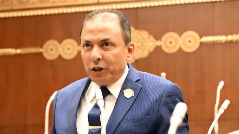 النائب فهمي عبد الرؤوف فهمي