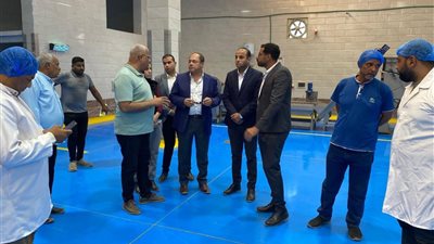 رئيس هيئة تنمية الصعيد يقوم بجولة تفقدية للمشروعات التنموية التي تنفذها الهيئة بمحافظة الوادي الجديد