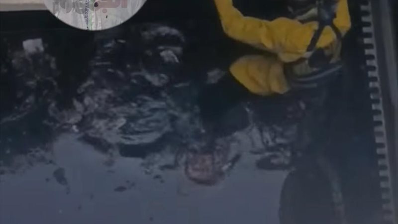 لقطة من فيديو الانتشال