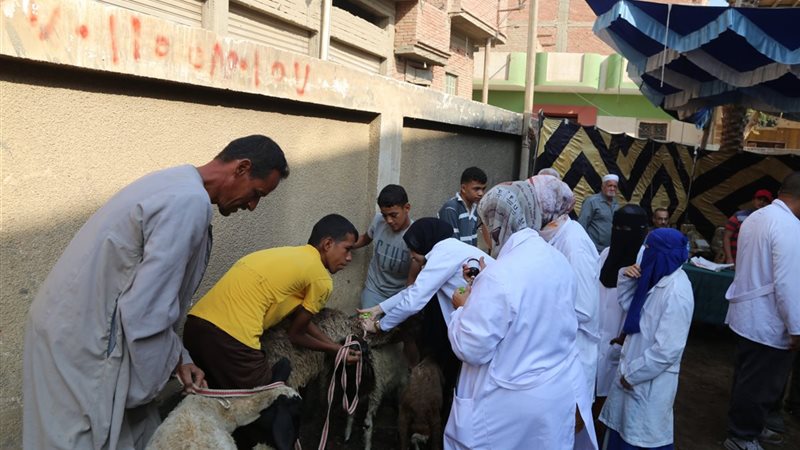 فريق عمل القافلة