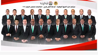 عاصم الجزار: دعم كامل لـ45 مرشحًا بالجبهة الوطنية وفصل غير الملتزمين حزبياً