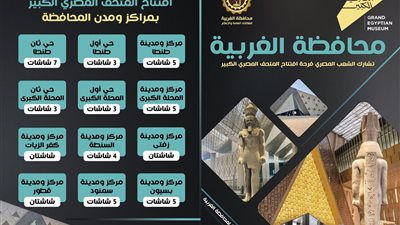  الغربية تتزين احتفالا بافتتاح المتحف المصري الكبير.. 47 شاشة عرض تنقل الحدث التاريخي