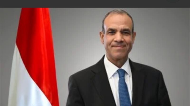وزير الخارجية بدر عبد العاطي 