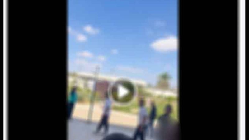 المنشور المتداول 