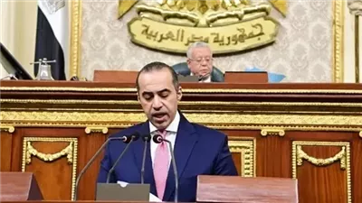 وزير الشئون النيابية: قانون الإجراءات الجنائية يحمي الحريات ويصون الأمن