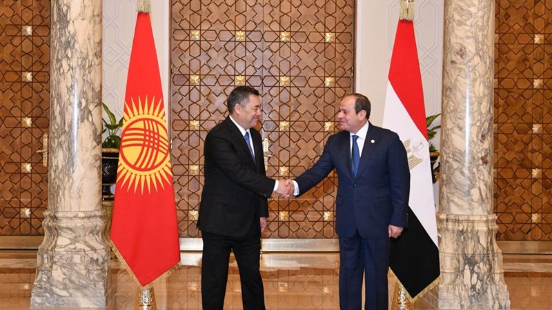 الرئيس السيسي