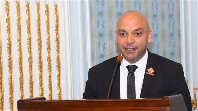 محمود القط، عضو مجلس أمناء تنسيقية شباب الأحزاب