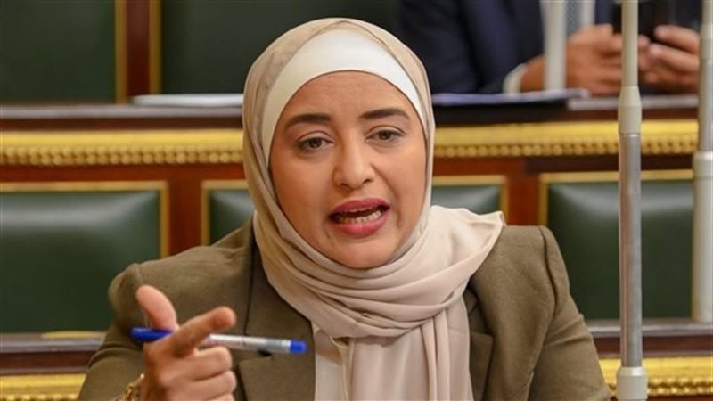  أميرة أبوشقة عضو اللجنة الدستورية والتشريعية بمجلس النواب