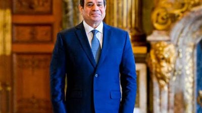 مجلس أطباء القاهرة مهنئاً الرئيس السيسي: بفوزه تكتمل رؤية مصر 2030