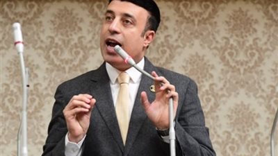 برلماني: الشعب المصري أبهر العالم في الانتخابات الرئاسية
