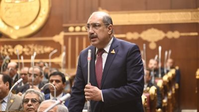 النائب إيهاب وهبة: الانتخابات الرئاسية أثمرت عن مكاسب كبيرة للأحزاب