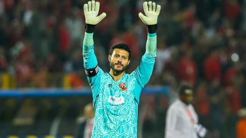 محمد الشناوي