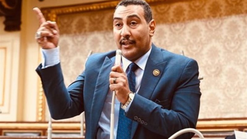 النائب محمد الجبلاوي