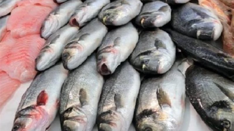 أسعار السمك