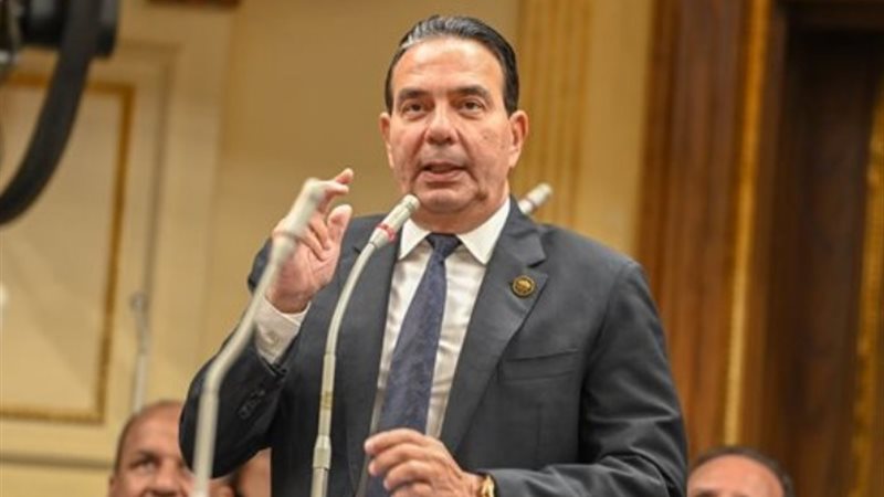 النائب ايمن أبو العلا