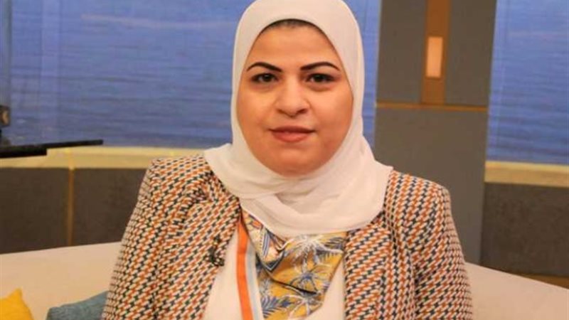 ميرفت صابرين - مساعد وزيرة التضامن للحماية الاجتماعية