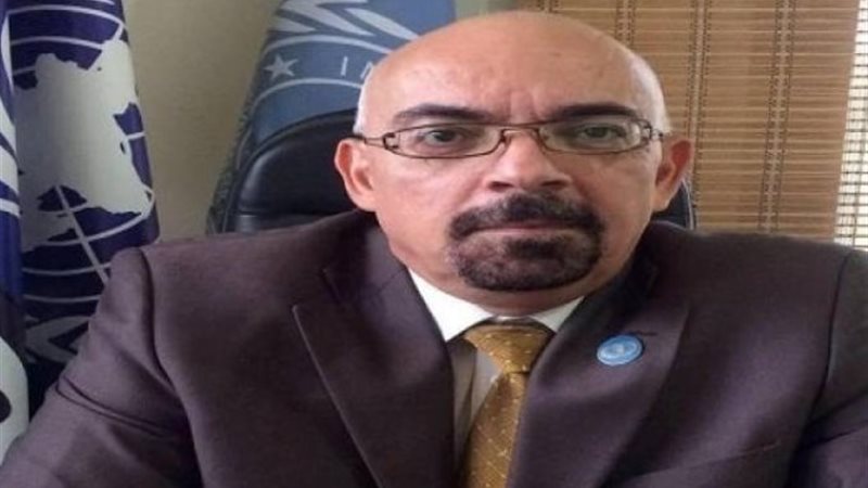 رئيس البعثة الأممية لحقوق الإنسان