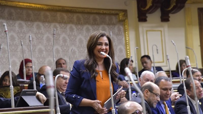 النائبة أميرة العادلي