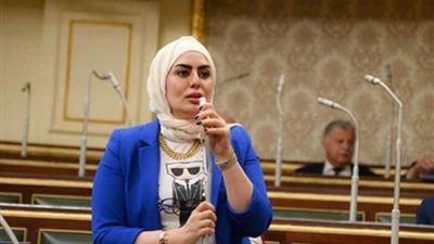 برلمانية: الحوار الوطني لعب دورا مهما في مشهد الانتخابات الرئاسية