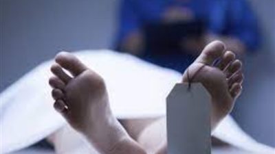 مصرع سيدة صدمها قطار أثناء عبورها شريط السكة الحديد بالبدرشين