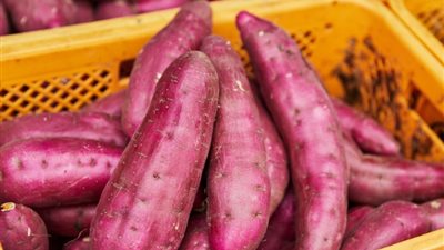 البطاطا الأكثر طلبًا.. مصر تصدر 185 ألف طن من الخضروات والفاكهة
