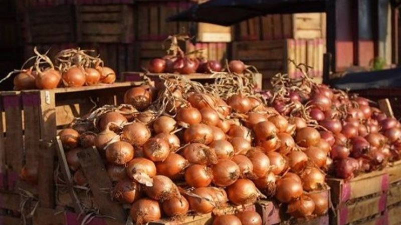 تراجع أسعار البصل