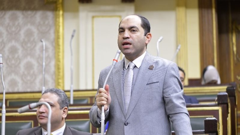 النائب عمرو درويش