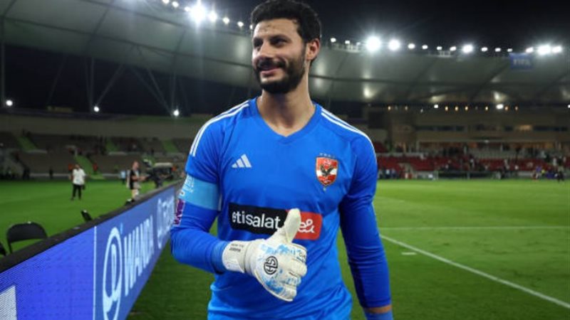 محمد الشناوي