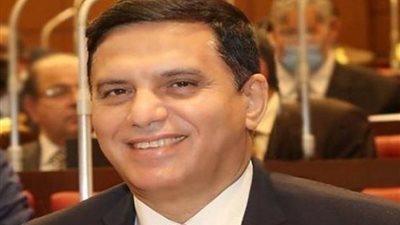 وكيل دفاع النواب: التحديات التي تواجه مصر تتطلب من كافة القوى السياسي