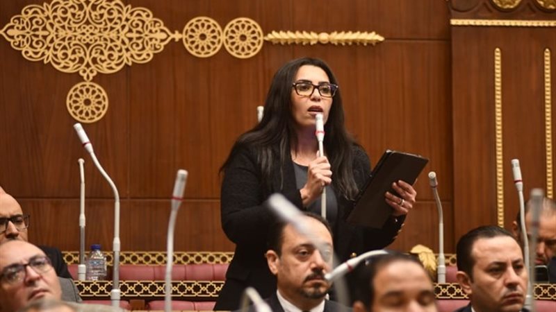 النائبة سها سعيد