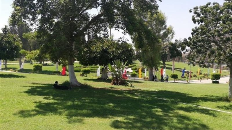 صورة أرشيفية