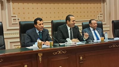 نجحنا في الحصول على نسبة كبيرة من الشباب للمشاركة بالانتخابات الرئاسية