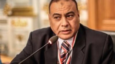 النائب محمد سليم: التحفيز على الاستثمار في الهيدروجين يعظم مكاسب الدولة