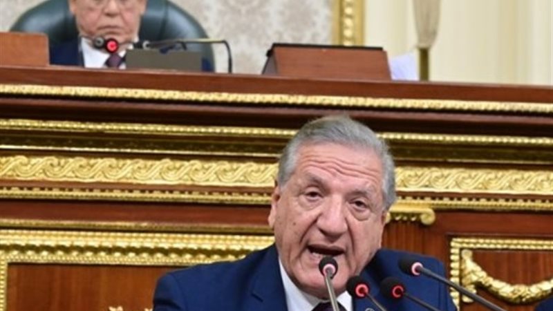 النائب فخري الفقي